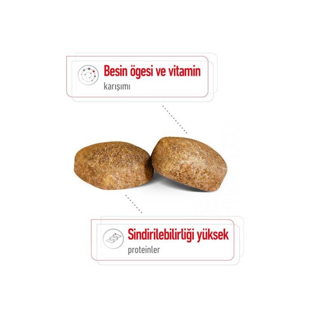 Picture of Royal Canin Giant Adult Dev Irk Yetişkin Köpek Maması 15Kg