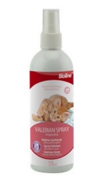 Picture of Bioline Kedi Sakinleştirici Valerian Sprey 175 ml