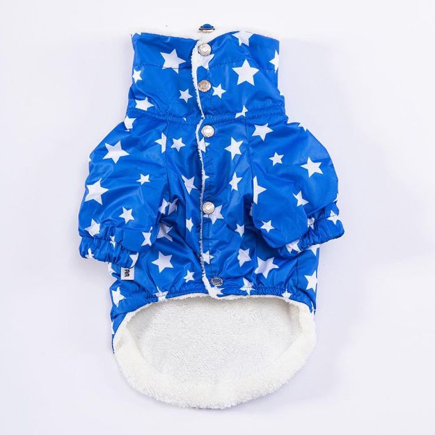 Picture of Blue Stars Big Raincoat 6Xl 23570