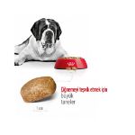 Picture of Royal Canin Giant Adult Dev Irk Yetişkin Köpek Maması 15Kg
