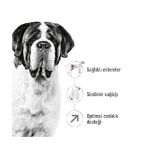 Picture of Royal Canin Giant Adult Dev Irk Yetişkin Köpek Maması 15Kg